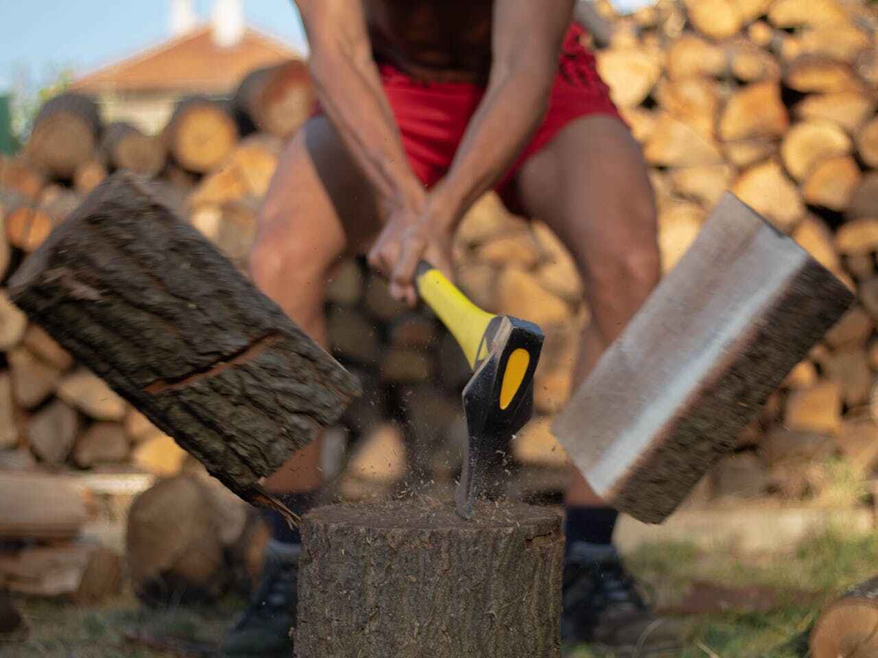 Dead Tree Removal in Amarillo, TX